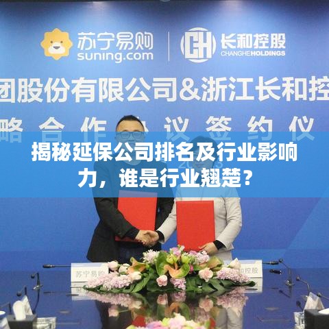 揭秘延保公司排名及行业影响力，谁是行业翘楚？