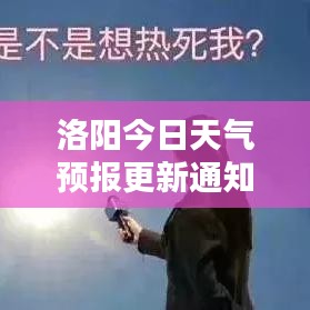 鸷鸟不群