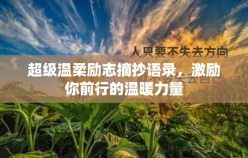 超级温柔励志摘抄语录，激励你前行的温暖力量