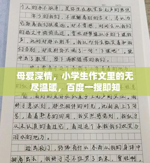 母爱深情，小学生作文里的无尽温暖，百度一搜即知