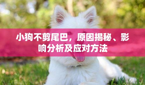 抱朴含真