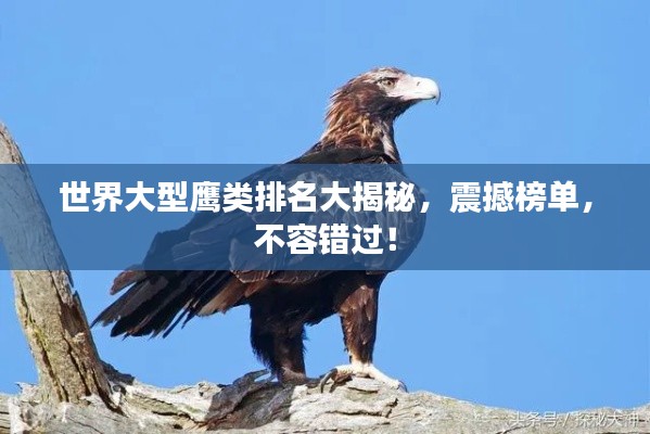刻画入微