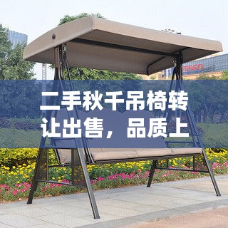 明夷于飞
