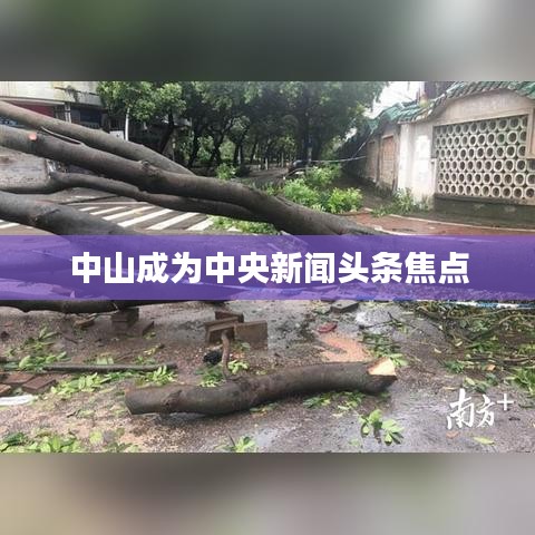 郑重其事