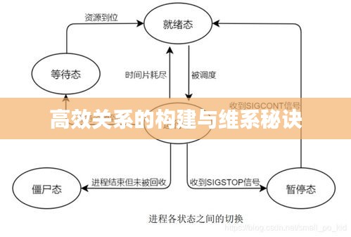 高效关系的构建与维系秘诀