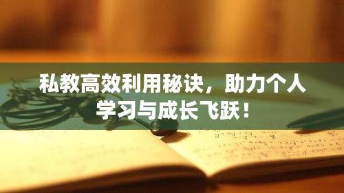 私教高效利用秘诀，助力个人学习与成长飞跃！