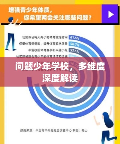 问题少年学校，多维度深度解读
