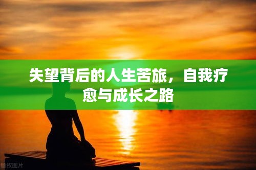 失望背后的人生苦旅，自我疗愈与成长之路