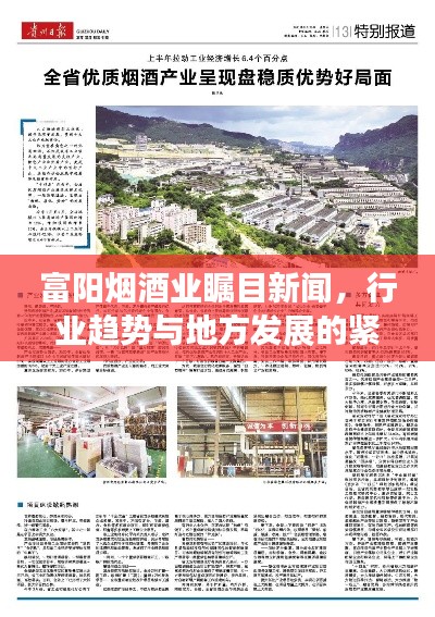 富阳烟酒业瞩目新闻，行业趋势与地方发展的紧密联动