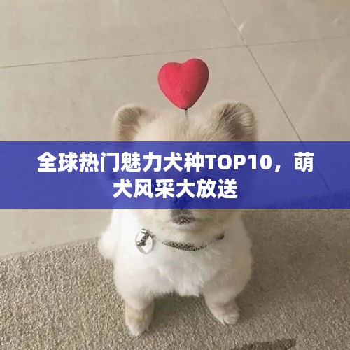 龙飞凤舞