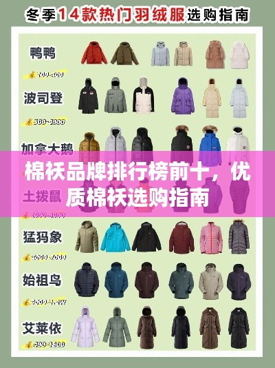 鸿飞雪爪