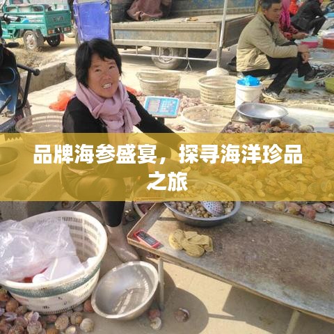 品牌海参盛宴，探寻海洋珍品之旅