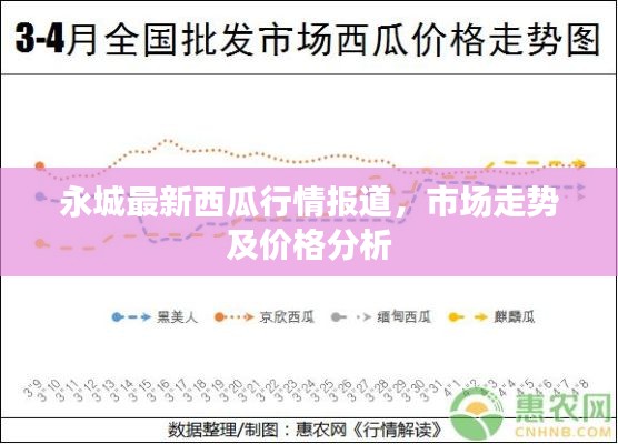 永城最新西瓜行情报道，市场走势及价格分析