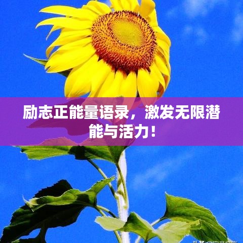 励志正能量语录，激发无限潜能与活力！