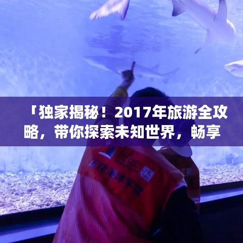 祖道供张