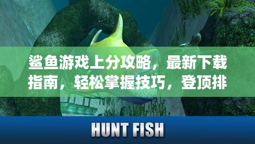 鲨鱼游戏上分攻略，最新下载指南，轻松掌握技巧，登顶排行榜！