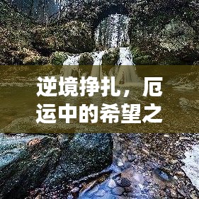 一言九鼎