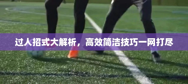 过人招式大解析，高效简洁技巧一网打尽