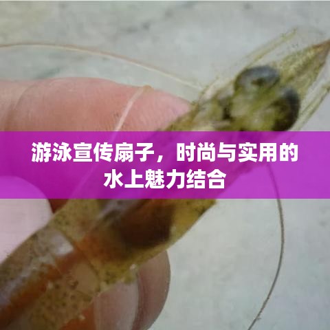 游泳宣传扇子，时尚与实用的水上魅力结合