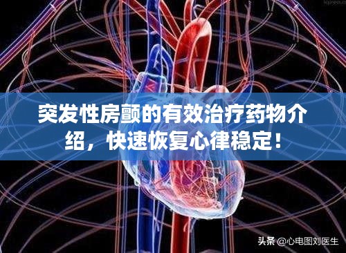 民贵君轻
