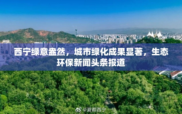 熊经鸟伸