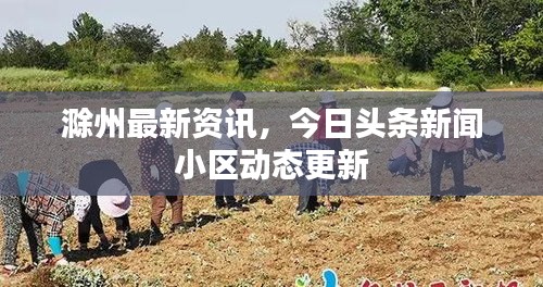 志在四方