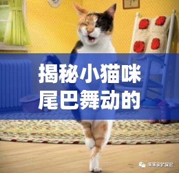 降尊纡贵