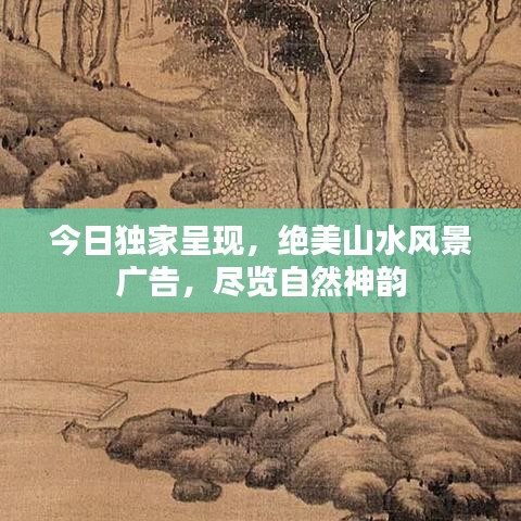 虫书鸟篆