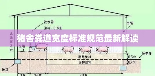 猪舍粪道宽度标准规范最新解读
