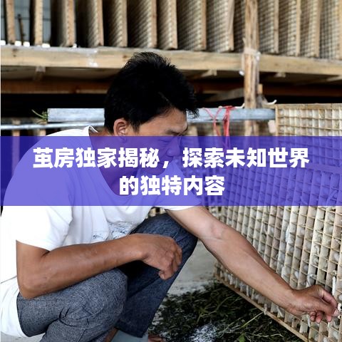 茧房独家揭秘，探索未知世界的独特内容