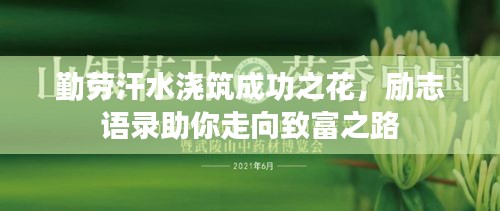 勤劳汗水浇筑成功之花，励志语录助你走向致富之路