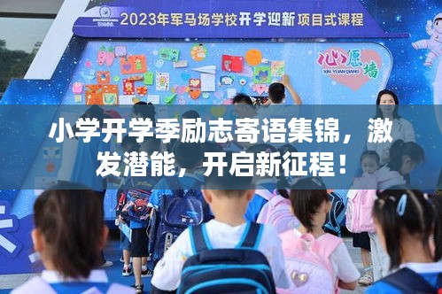 飞红滴翠