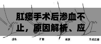 布被瓦器