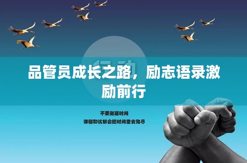品管员成长之路，励志语录激励前行