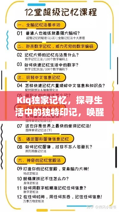 夯雀儿先飞