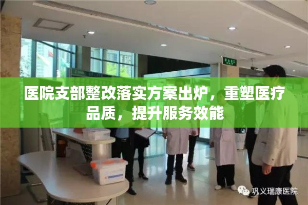 医院支部整改落实方案出炉，重塑医疗品质，提升服务效能