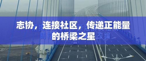 鸡飞狗跳