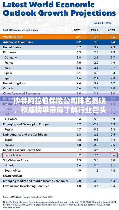 沙特阿拉伯保险公司排名揭晓，权威榜单带你了解行业巨头