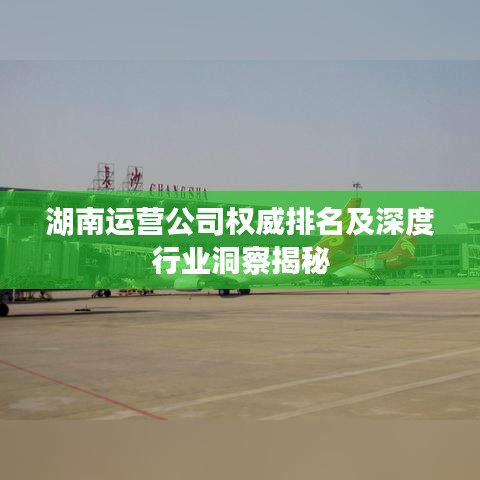 湖南运营公司权威排名及深度行业洞察揭秘