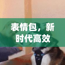 表情包，新时代高效沟通的利器