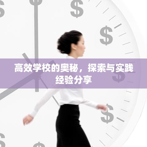 高效学校的奥秘，探索与实践经验分享