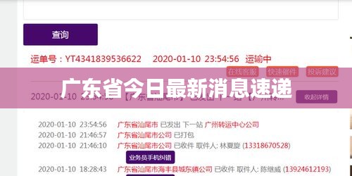 广东省今日最新消息速递
