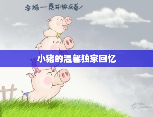 小猪的温馨独家回忆