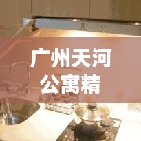广州天河公寓精装房源最新出售消息