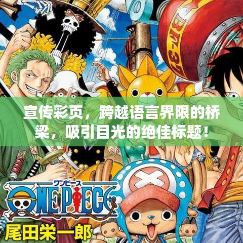 宣传彩页，跨越语言界限的桥梁，吸引目光的绝佳标题！