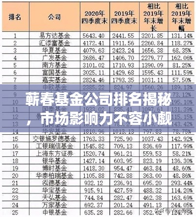 蕲春基金公司排名揭秘，市场影响力不容小觑