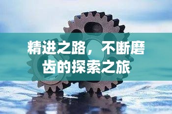 精进之路，不断磨齿的探索之旅