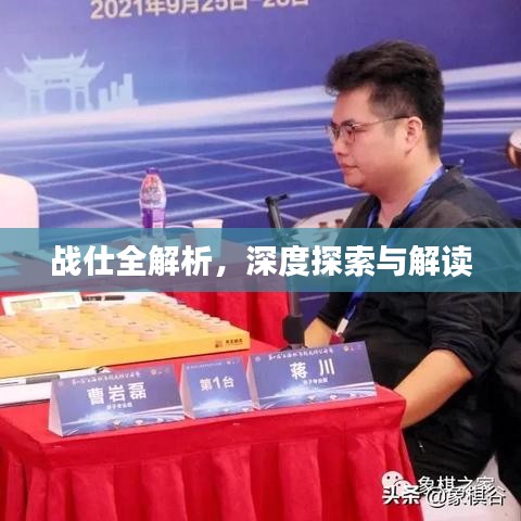 战仕全解析，深度探索与解读