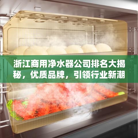 浙江商用净水器公司排名大揭秘，优质品牌，引领行业新潮流！
