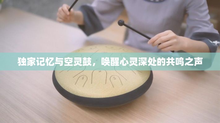 独家记忆与空灵鼓，唤醒心灵深处的共鸣之声